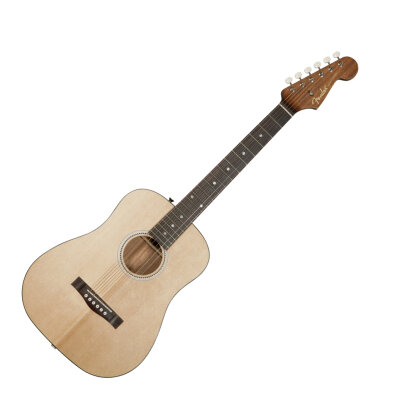 Fender Newporter Traveler