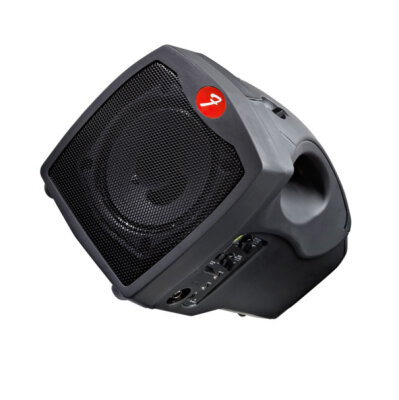 Fender Passport P10W