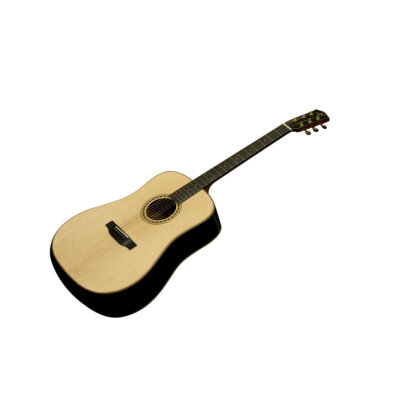 Bedell TB28G Acoustic