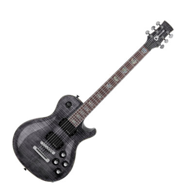 Charvel DS-1 ST Guitar