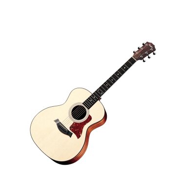 Taylor 314