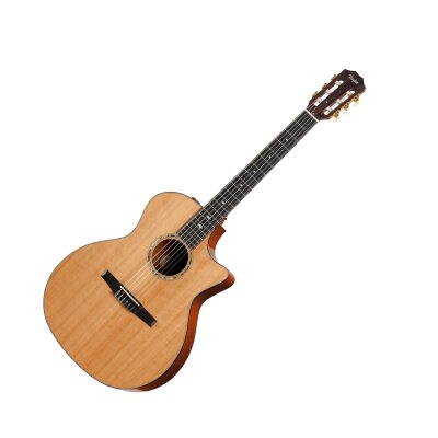 Taylor 514ce-N Classical