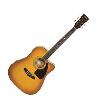 Ibanez PF-25ECE Guitar
