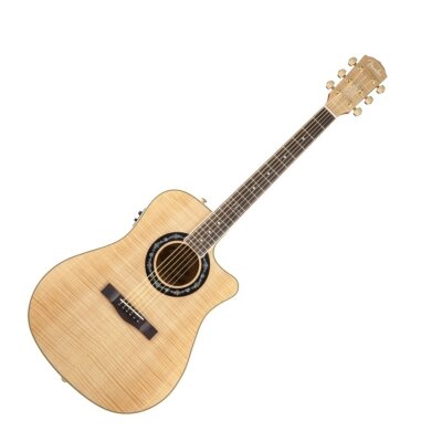 Fender T-Bucket 400CE