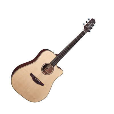 Takamine ESN10C Guitar