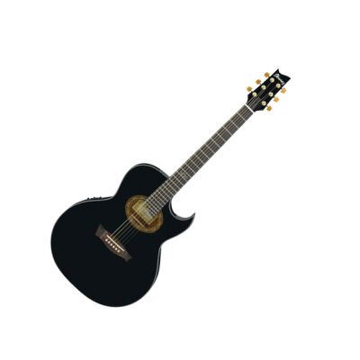 Ibanez EP5 Steve Vai