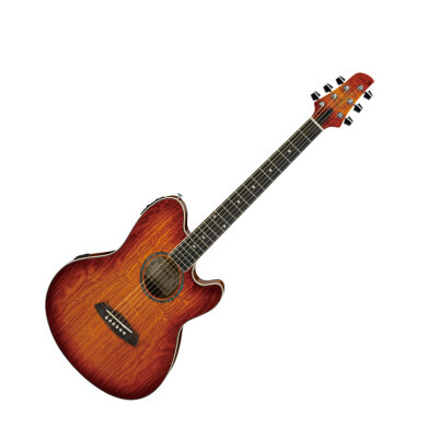 Ibanez TCY20E Talman