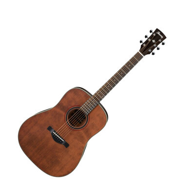 Ibanez AW250 Guitar