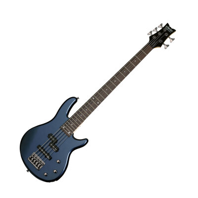 Schecter Raiden Deluxe-5