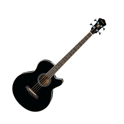 Ibanez AEB5E Bass
