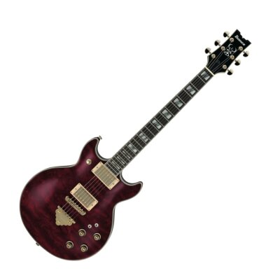 Ibanez AR325 Guitar