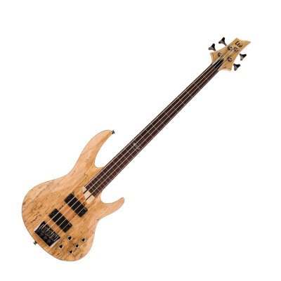 ESP B204 Fretless Bass