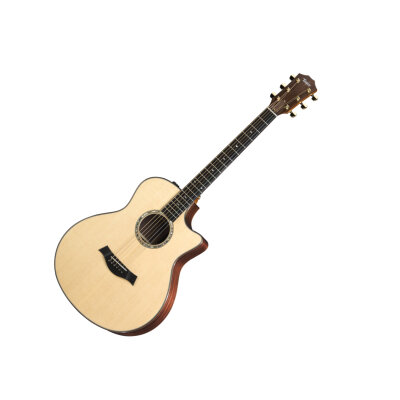 Taylor Baritone GS Guitar