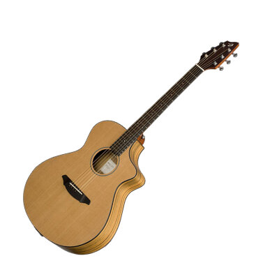 Breedlove Passport C250