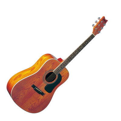 Washburn D11 Dreadnought