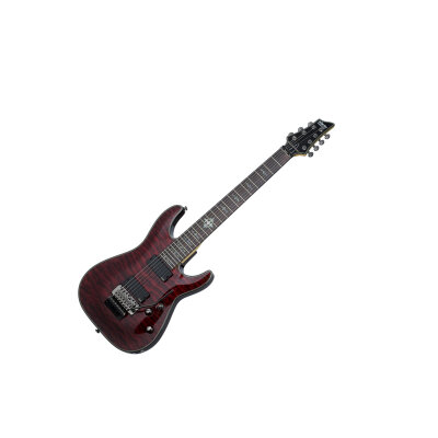 Schecter Damien Elite FR