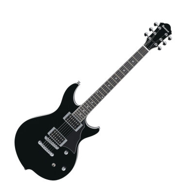 Ibanez DN300 Guitar