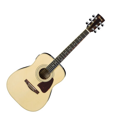 Ibanez DT100E Daytripper