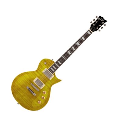 ESP LTD EC-256 Guitar