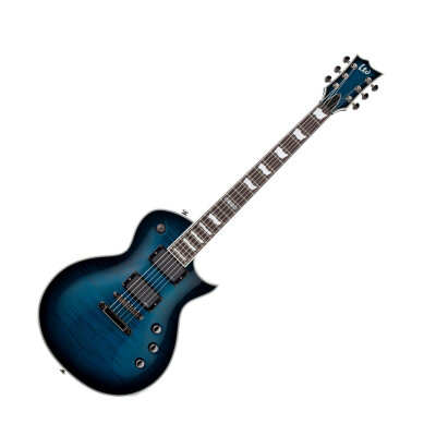 ESP LTD EC-401FM Guitar