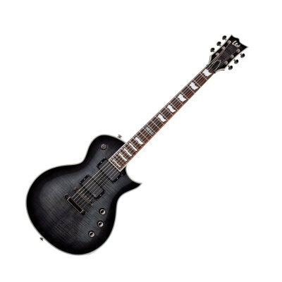 ESP LTD EC-401FM Guitar