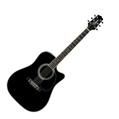 Takamine EF314SC Acoustic