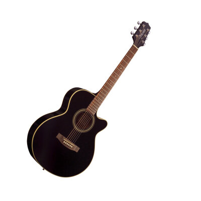 Takamine EG260C Cutaway