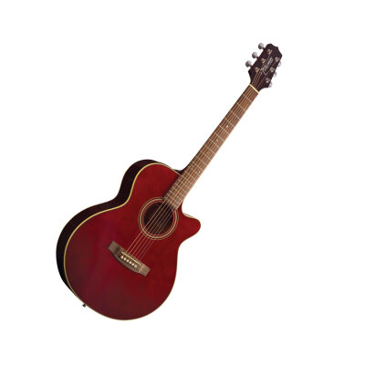 Takamine EG260C Cutaway