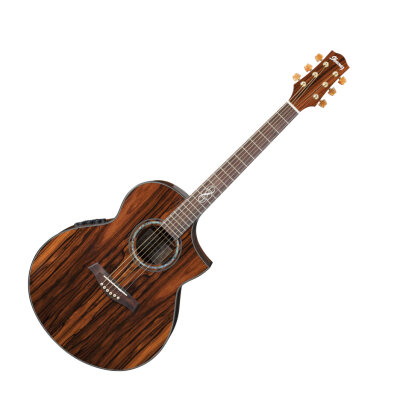 Ibanez EW40CBE Acoustic