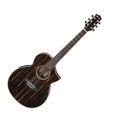 Ibanez EWC30EBE Acoustic