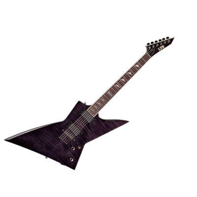 ESP LTD EX401FM Guitar