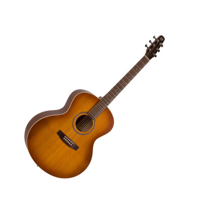 Seagull Entourage Mini J
