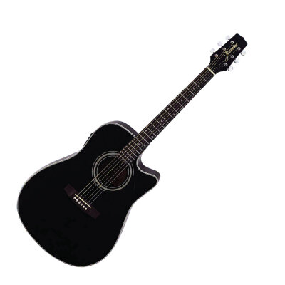 Takamine Jasmine ES31C