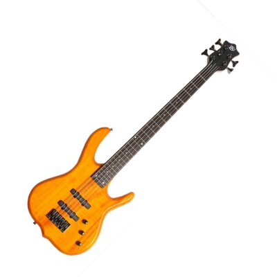 Ken Smith Burner 5 String