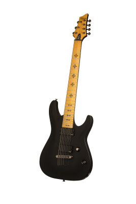 Schecter Loomis-7 Guitar