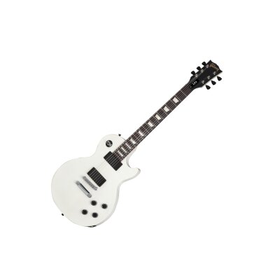Gibson LPJ Guitar