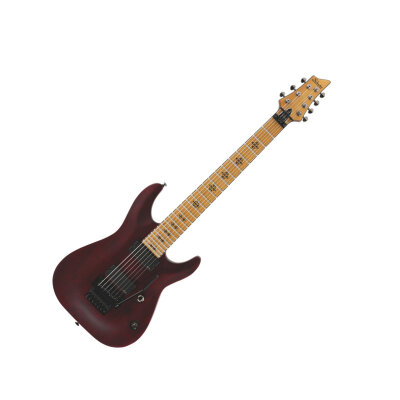 Schecter Loomis-7 FR