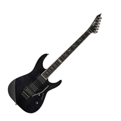 ESP LTD M-1000 Guitar