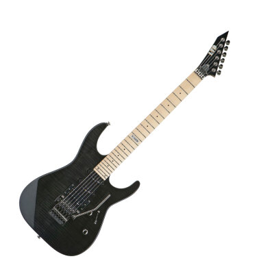 ESP LTD M-103FM Guitar