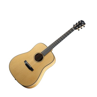 Breedlove Oregon DSMYe