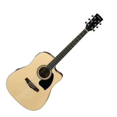 Ibanez PF15ECEWC Guitar