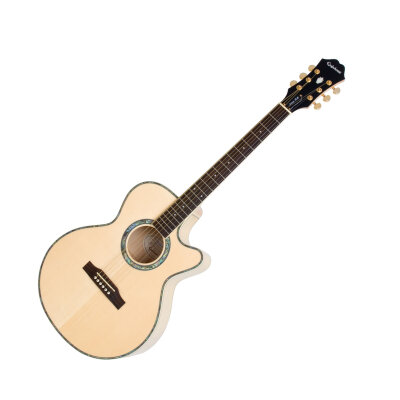 Epiphone Performer SE