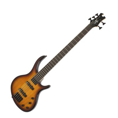 Tobias Toby Deluxe V Bass