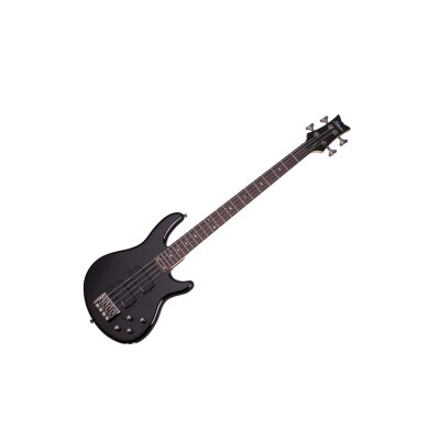 Schecter Raiden Custom 4
