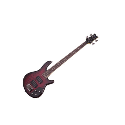 Schecter Raiden Elite 4