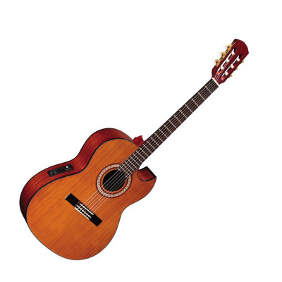 Alvarez RC20SC Classical