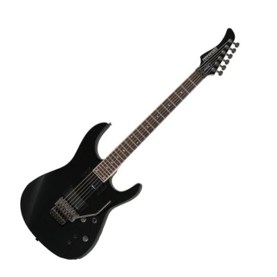 Fernandes Revolver Pro-81