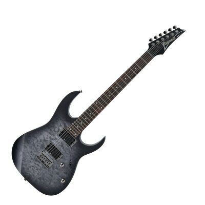 Ibanez RG421QM Guitar
