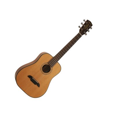 Alvarez RT16 Guitar