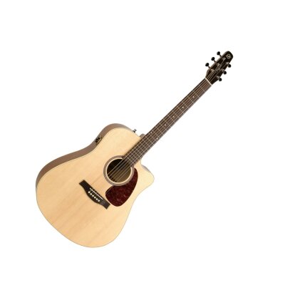 Seagull Entourage Spruce